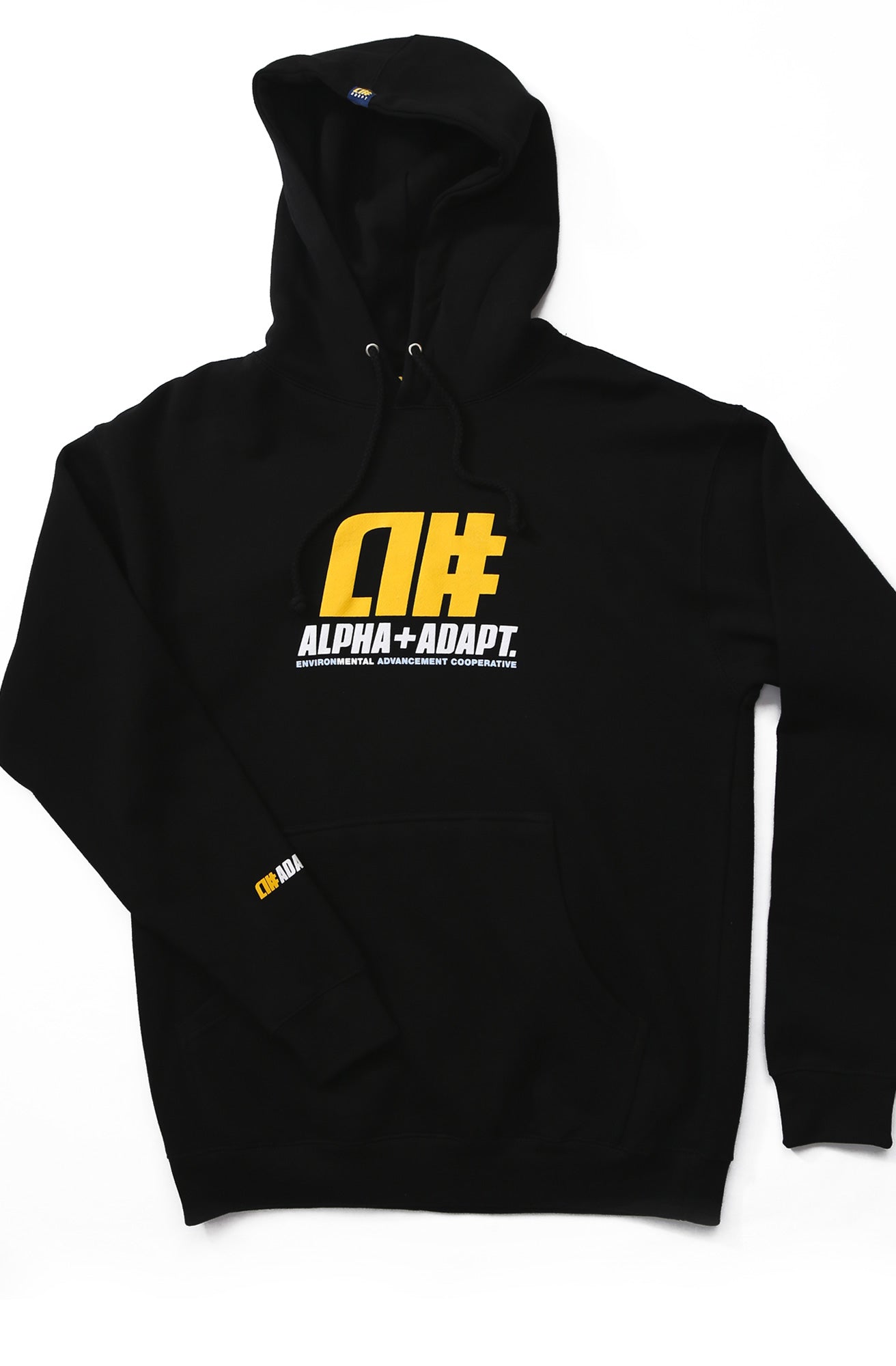 Alphanumeric x Adapt :: RAE II (Men's Black Hoody)