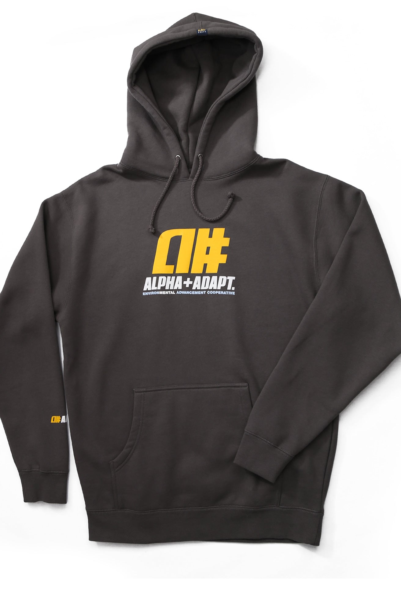 Alphanumeric x Adapt :: RAE II (Men's Charcoal Hoody)