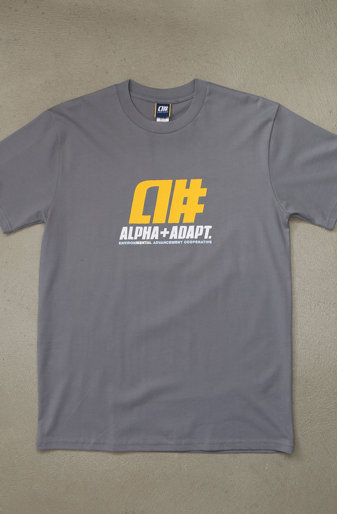 Alphanumeric x Adapt :: RAE II (Men's Gravel Tee)